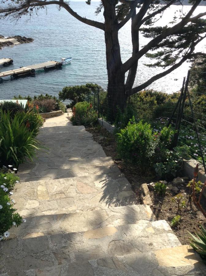 Villa Mirabel Île du Levant Kültér fotó