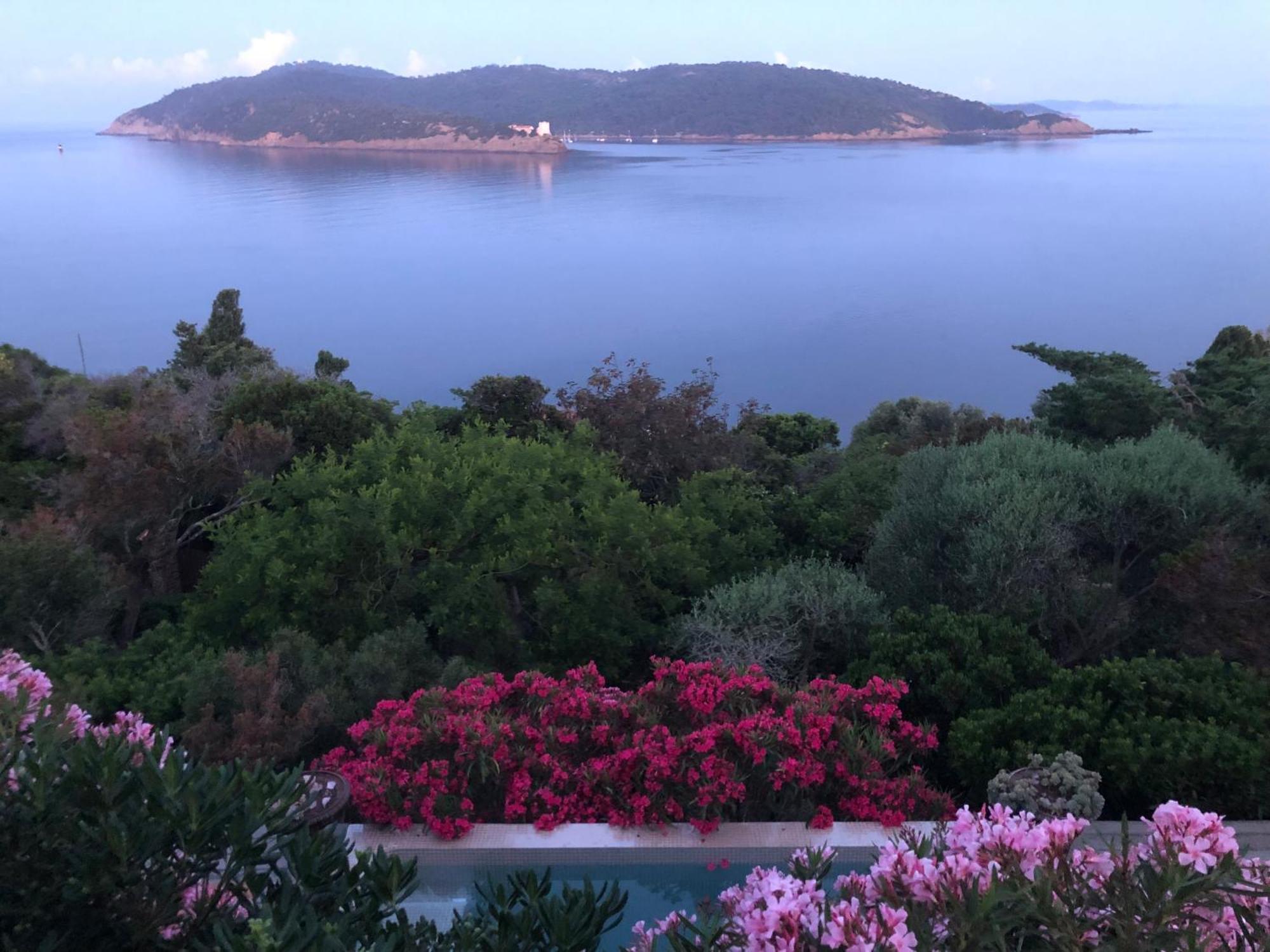 Villa Mirabel Île du Levant Kültér fotó